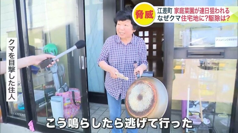 住人がフライパンを叩いて音を出すと立ち去ったという