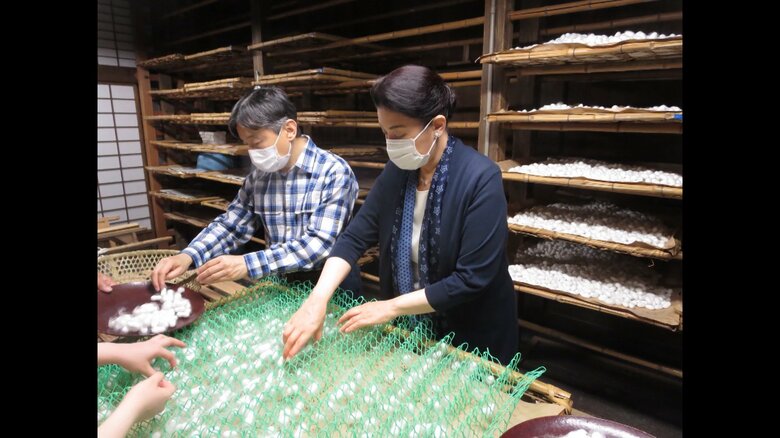繭かきされる天皇皇后両陛下（2022年6月11日）