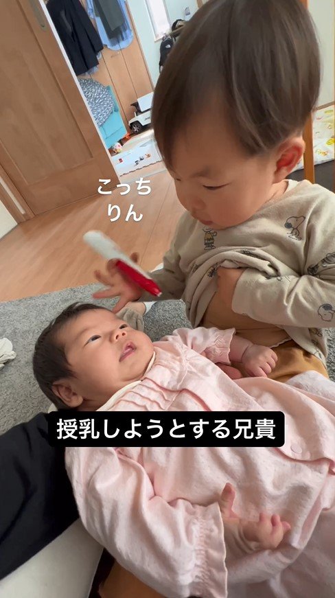 提供：＠zen_pokoさん