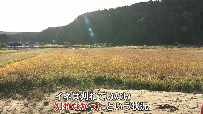 大量の土砂に覆われた由利本荘市の田んぼは…