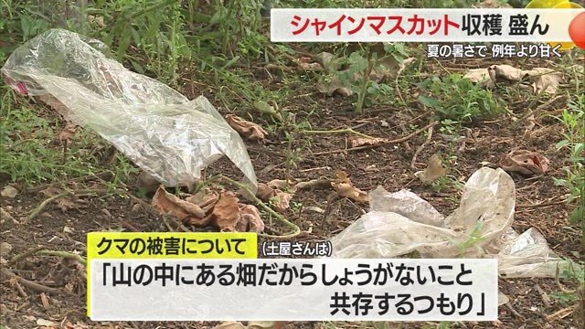 人間とクマの距離を適度に保ち共生していくためにどうすればよいのか…