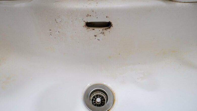 洗面台の上部にある穴「オーバーフロー」に住み着くことも（画像はイメージ）