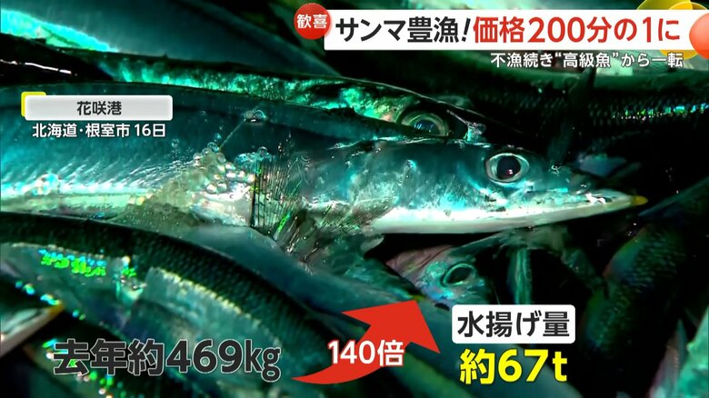 水揚げ量は2023年の140倍の約67トンに