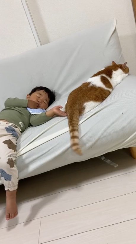 提供：Hassakuさん