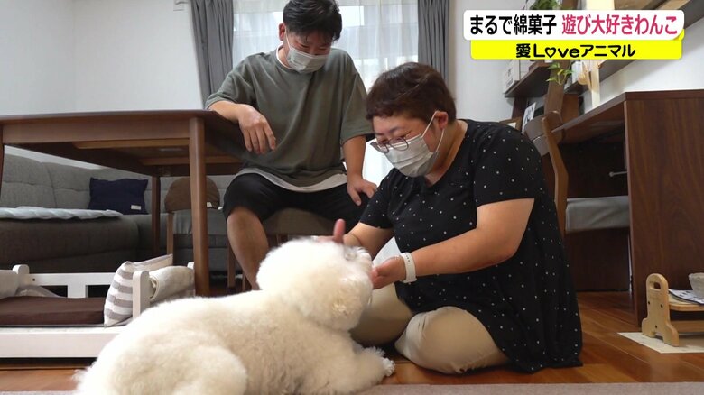 飼い主さんもメロメロ