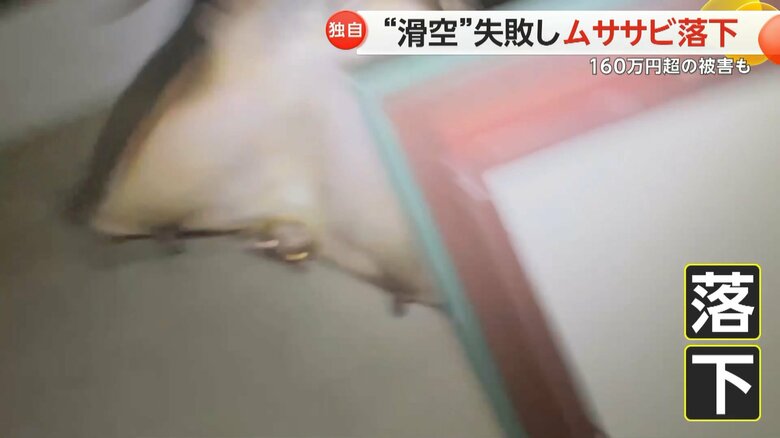 ムササビが、ジャンプしようとして軒裏に頭をぶつけ、そのまま落下する様子⑧