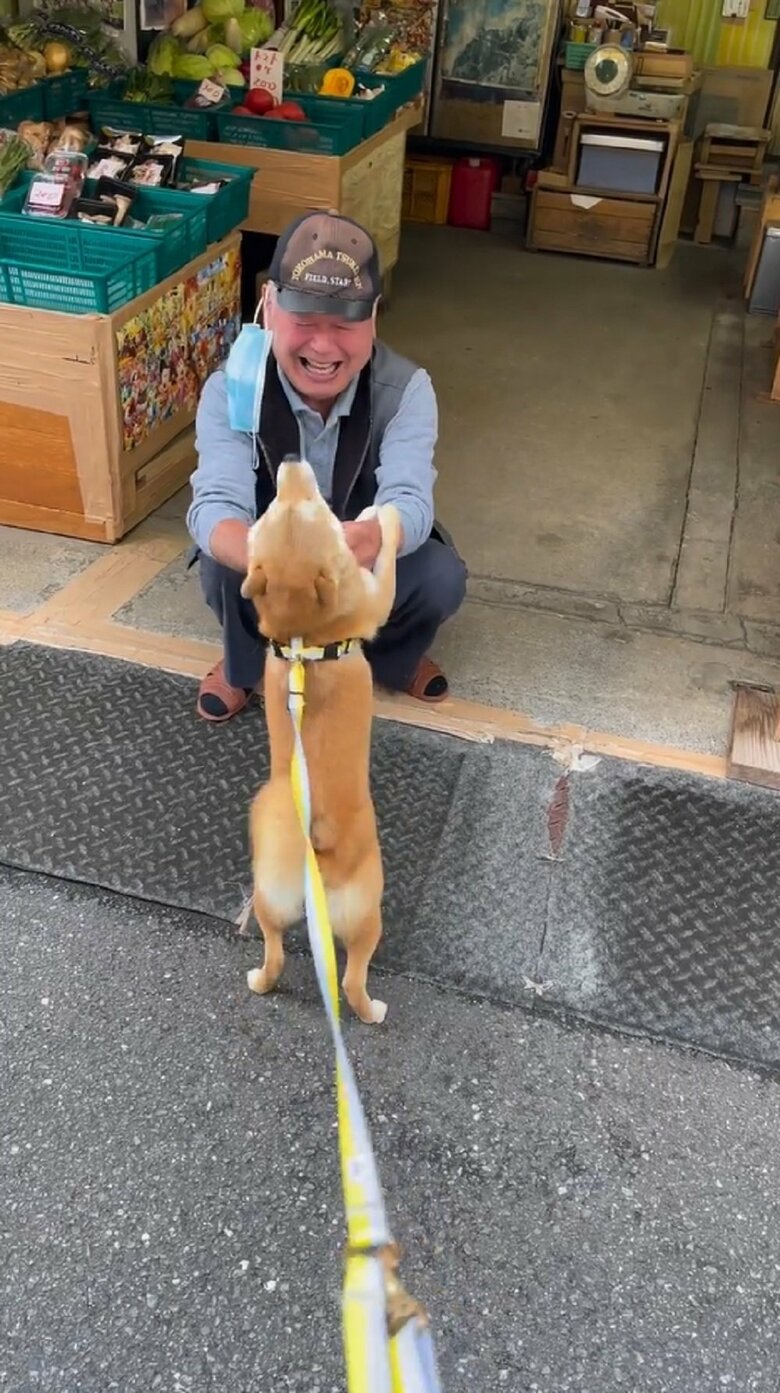 おっちゃんはそんなマメちゃんに応えて、なでなでを再開