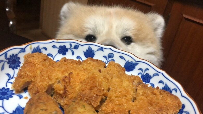 夕ご飯チェック