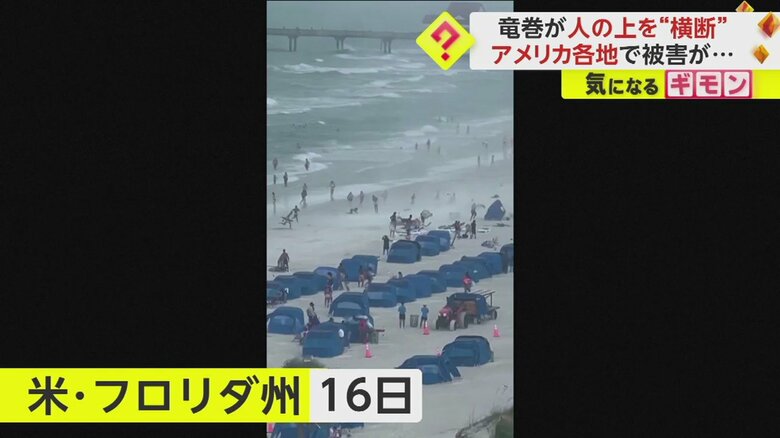 （Dr. Mike & Danielle Tarjoman）