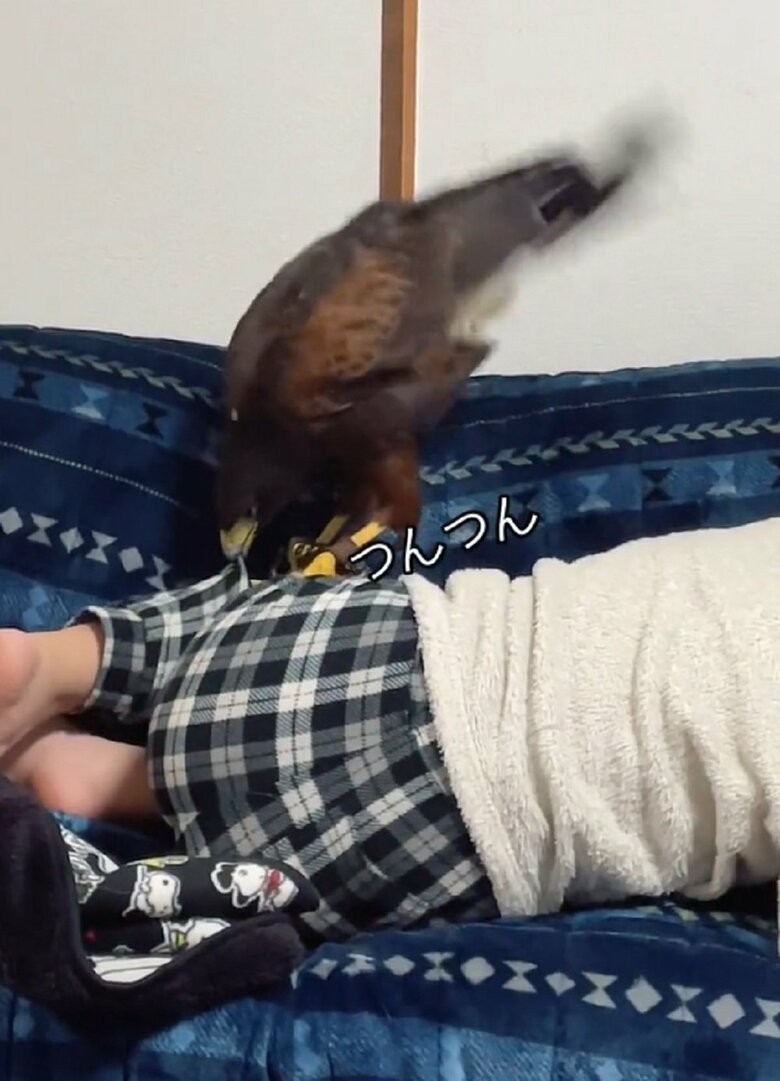 服のみ破かないように加減してつんつん