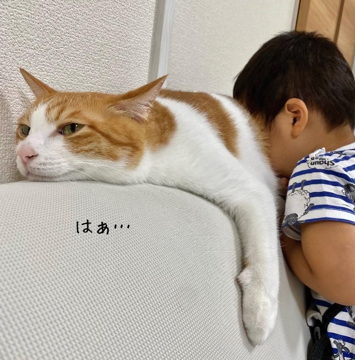 提供：Hassakuさん