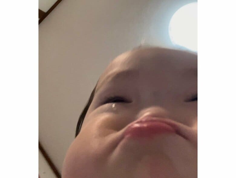 提供：ののさん