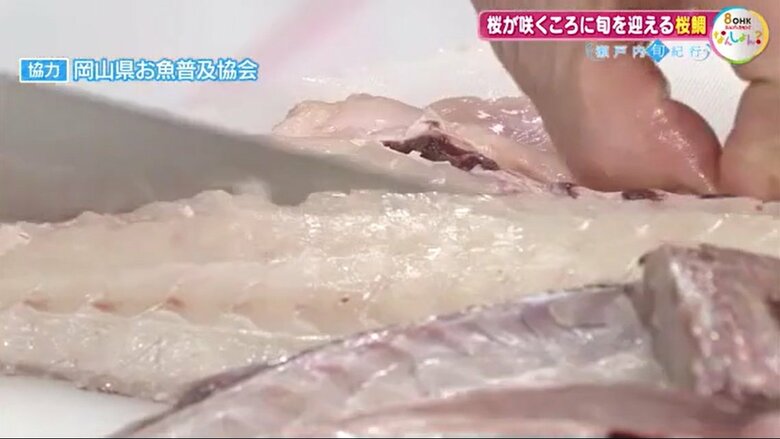 原田会長による桜鯛の調理の実演（３）