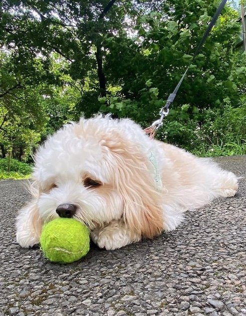 提供：宮原幸恵さん