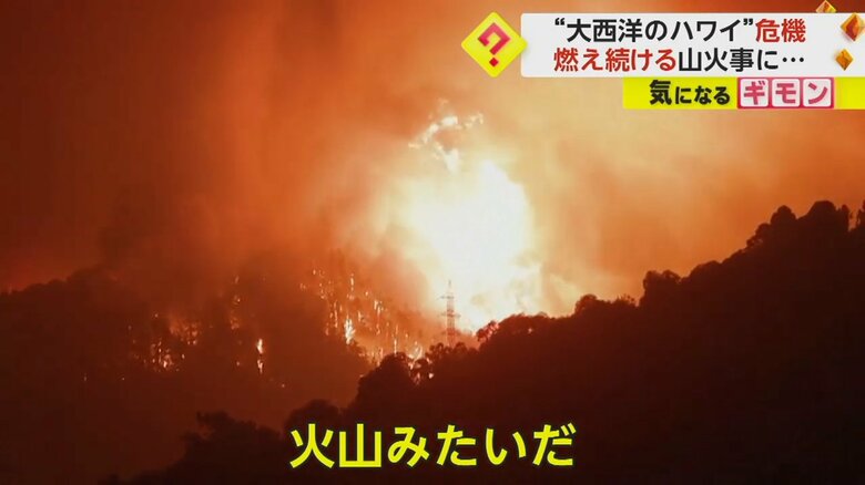 テネリフェ島で起きた山火事（VINE SOARES）
