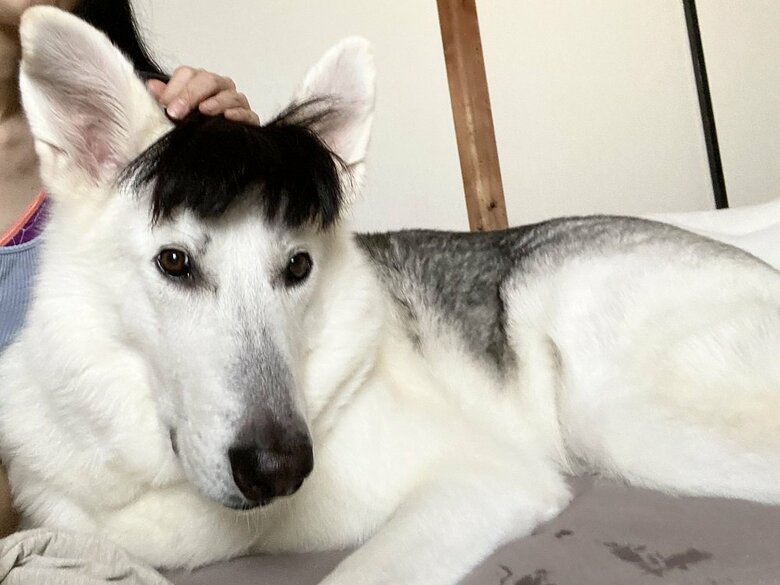 前髪あっても似合う