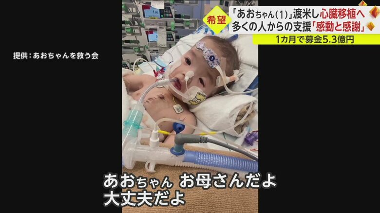 お母さんの声に目を開け反応した様子を見せる葵ちゃん