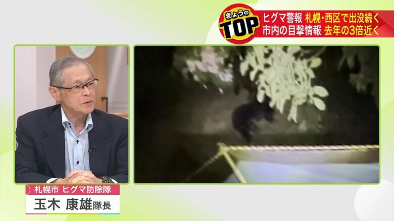 札幌西区で一時間も居座るクマ