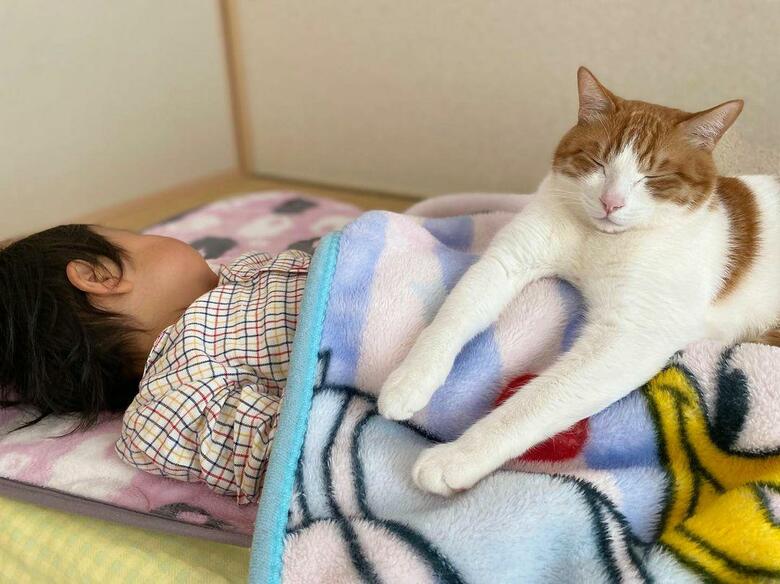 提供：Hassakuさん