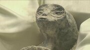“宇宙人2体の死体”を公開　メキシコで初の“UFO”公聴会　専門家「人間と関係のないものと断言できる」