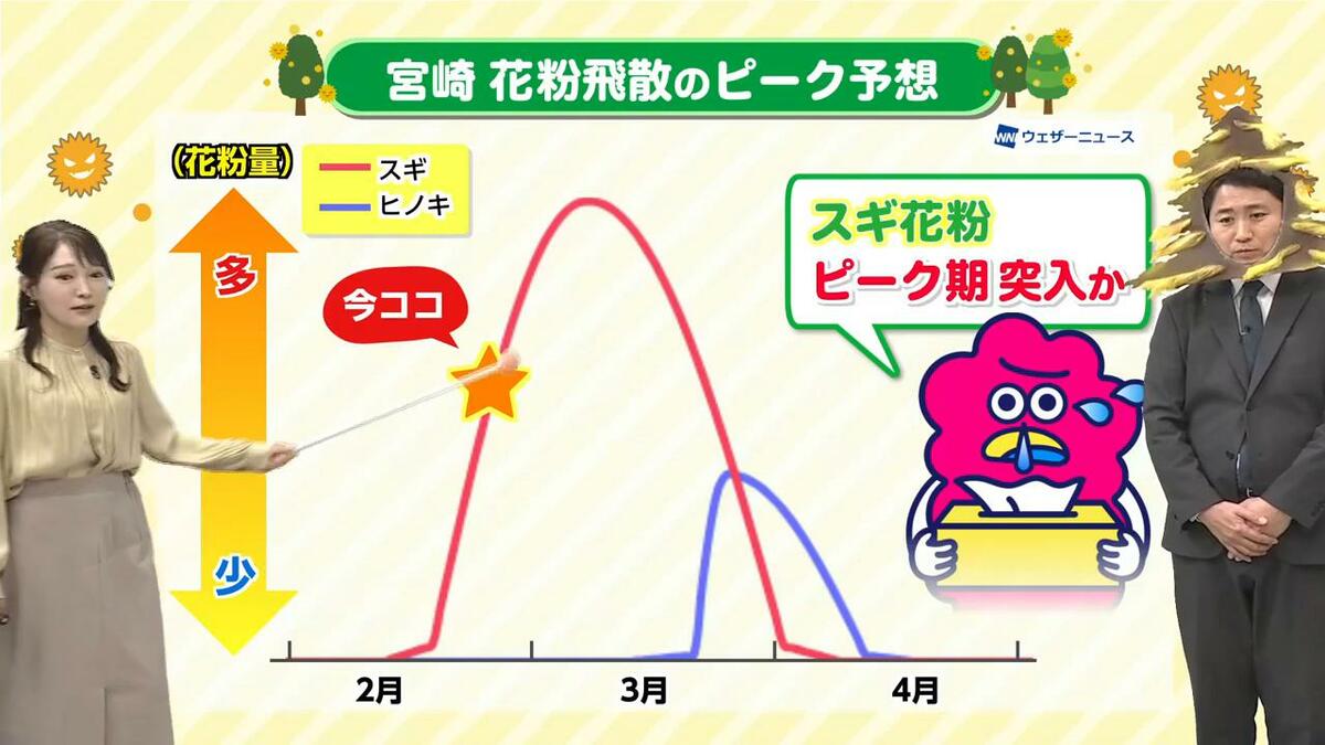 花粉 情報 宮崎 市