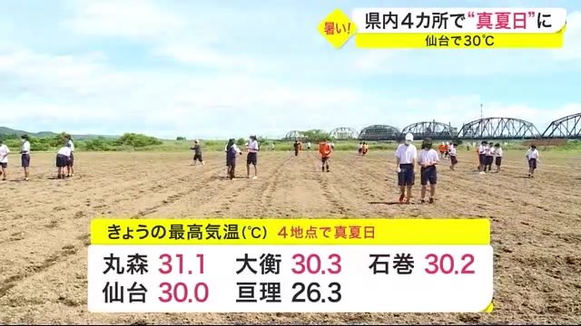 宮城県内４カ所で 真夏日 に 仙台で３０ 約４万本分のヒマワリの種まき