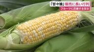 「甘々娘」に今年も長い行列　フルーツ並みに甘い森町産のとうもろこし　今年も販売開始　7月末までの販売を予定　静岡・森町