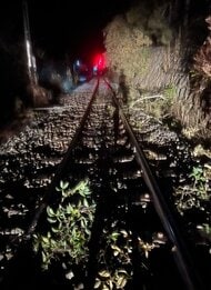 【速報】岡山・香川～高知　特急「南風」号一部区間運転取りやめ　高知で列車が倒木と接触し運転見合わせ