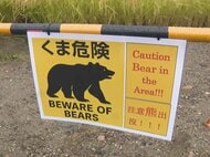 犬の鳴き声等をスピーカーから…クマを『ドローン』で山へ追い払う対策 岐阜県が11月から高山市などで実施へ