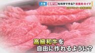 「霜降り肉」を科学で作る 3Dプリンターで作る『培養肉』 課題は価格「1センチ四方10万円」