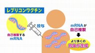「レプリコンワクチンはウイルスばらまく」に専門家は「完全にデマ」と断言 新たに認可された新型コロナワクチン