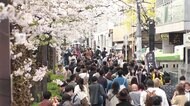 感染急増 潜む“第4波”の影 花見でルール無視 迷惑客も