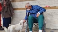 トルコ版 ハチ公!? 入院した飼い主待ち続け再会