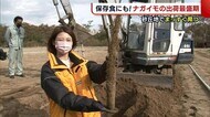 冬の保存食にも! 砂丘地で真っ直ぐ育った“ナガイモ” 出荷の最盛期迎える【新潟市】