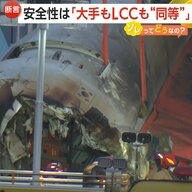 安全性は「大手もLCCも遜色ない」韓国・チェジュ航空179人死亡事故の“原因”バードストライク…日本での発生件数・対策は【ソレってどうなの？】