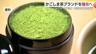 「年間300トン、26億円投資」鹿児島に県内最大の抹茶生産拠点　狙いは“アメリカ市場”
