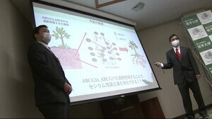 セシウム汚染土壌を”植物で浄化” 岩手大学らの研究グループ発表<岩手県>