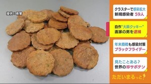 自作の“大麻クッキー”を所持 画家の男を逮捕 静岡市