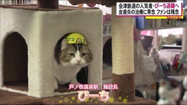 会津鉄道のネコ施設長が退職へ…その理由は <福島県会津若松市>
