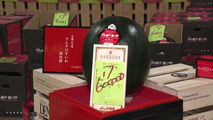 「でんすけすいか」札幌で初競り！“1玉60万円”で4年連続の高値に＿真っ黒な皮が特徴…当麻町の特産品スイカ〈競り落とした後すぐに『1玉6万4000円』でネット販売〉北海道札幌市
