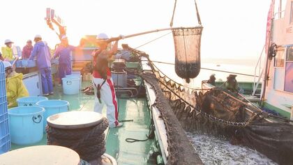 不漁や猛暑・ゲリラ雷雨への影響は…『黒潮大蛇行』ついに終息か 期待の声高まるも「いいこと尽くめ」は難しく