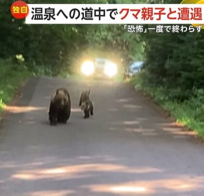 【独自】「ただただ恐怖」1日3度もクマと遭遇　温泉への道中にクマの親子　入浴中も目の前に…帰路でも出没　北海道・斜里町