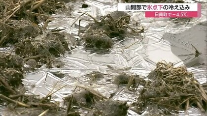 日南で最低気温‐4.5℃　山間部で氷点下の冷え込み　週後半は季節外れの暖かさ　大幅気温変化に注意