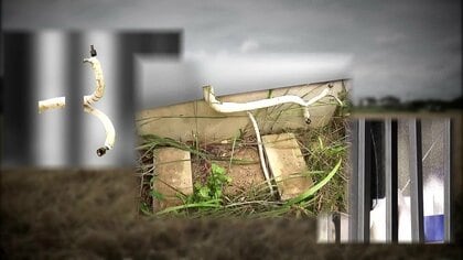 被災地狙った卑劣な犯行か　豪雨被害の千葉で3軒連続窃盗　室外機や給湯器など盗まれる　専門家「長期不在が明らかにならない工夫を」