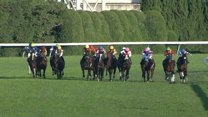 【アルゼンチン共和国杯&みやこS】東京2500mの特異舞台で繰り広げられるタフな王者決定戦！京都にはダート王フォーエバーヤングにゆかりのある馬たちが登場！