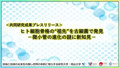 ヒト細胞骨格の“祖先”を古細菌で発見-微小管の進化の謎に新知見-〔理化学研究所, 名古屋大学, ウィタヤシリメティー科学技術大学院大学, 岡山大学, 科学技術振興機構（JST）〕