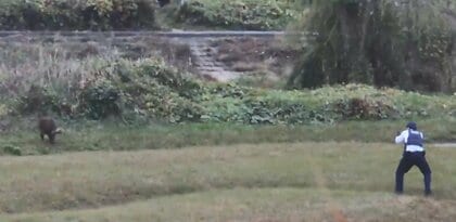 「撃つぞ！」警官が銃を向けた相手は…10人に突進した「イノシシ」　週末には子どもが集まる場所