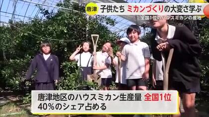 ハウスミカン全国1位の生産量を誇る唐津地区 子供たちがミカンづくりの大変さや工夫学ぶ【佐賀県】