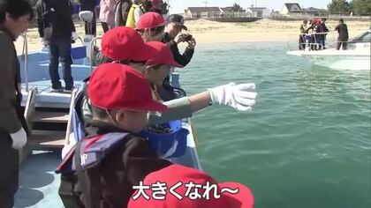 「大きくな～れ」海をきれいに！“水質改善”するアサリ　松山の海で小学生が３００キロを放流体験【愛媛】