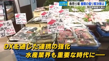 地元にない魚をアプリで仕入れ　“売りたい”と“買いたい”をつなぐ　流通の最適化と漁獲量減少の解決策に【広島発】